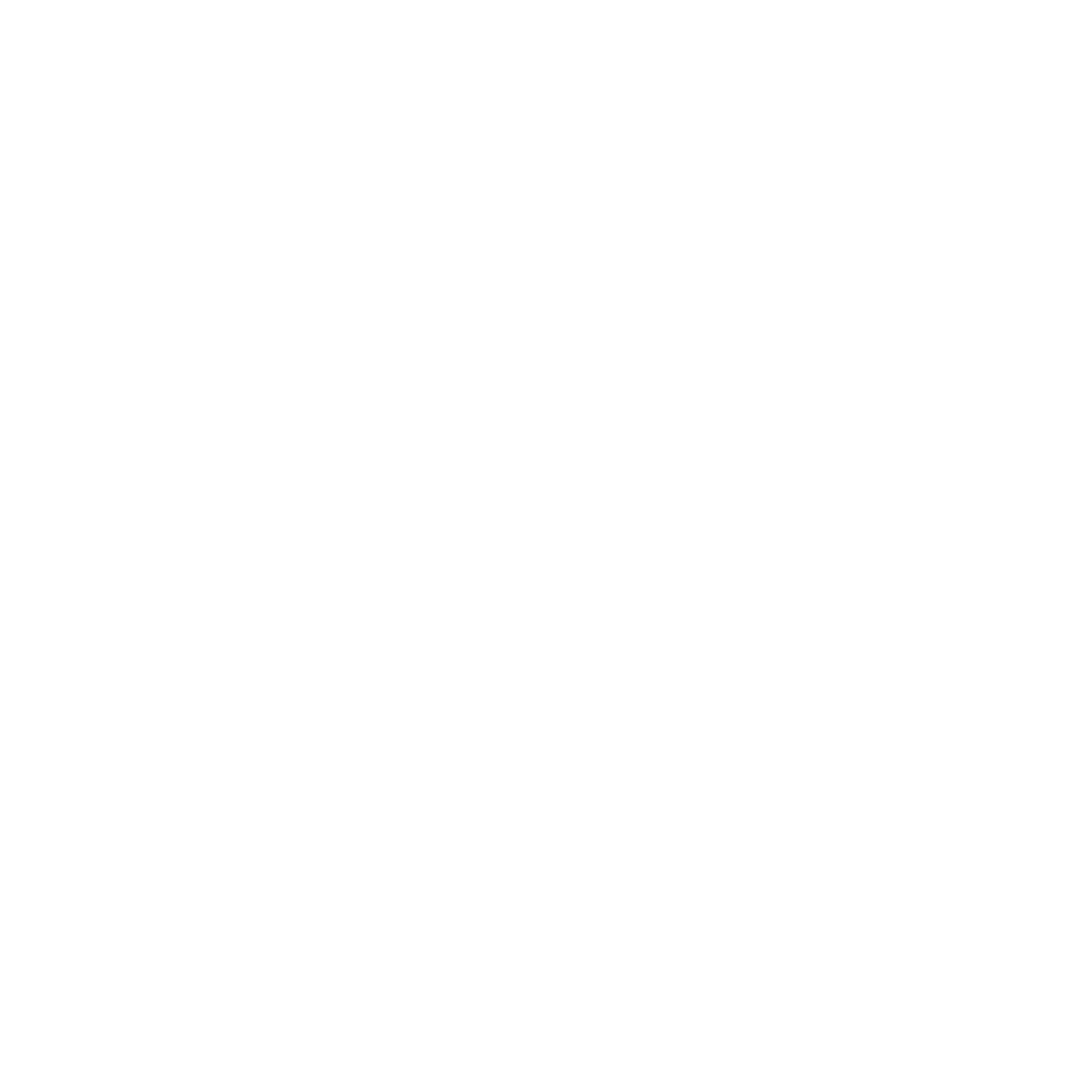 Aiifi.ai Company Logo